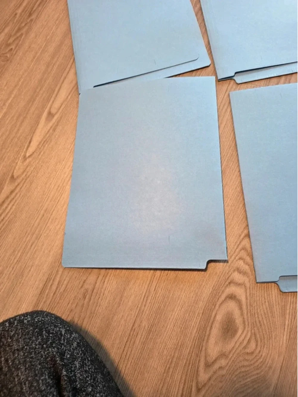 Set of 5 Light Blue File Folders